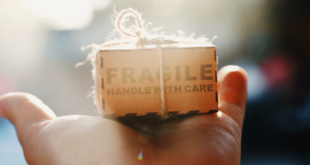 10 Pieces of Advice to Make Dropshipping Profitable in the Age of Pandemic